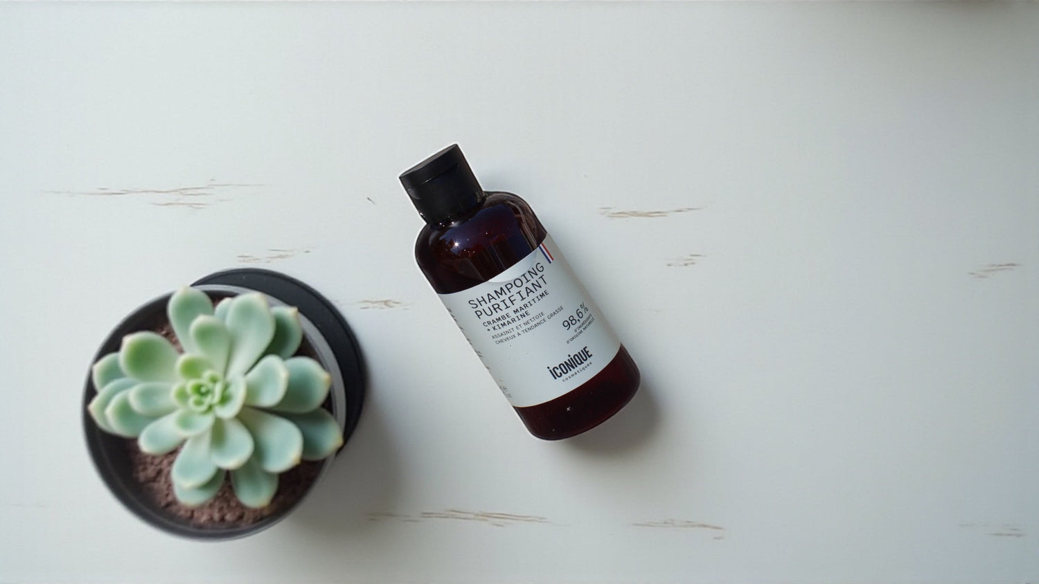 Shampoing purifiant Iconique : la solution contre l’excès de sébum