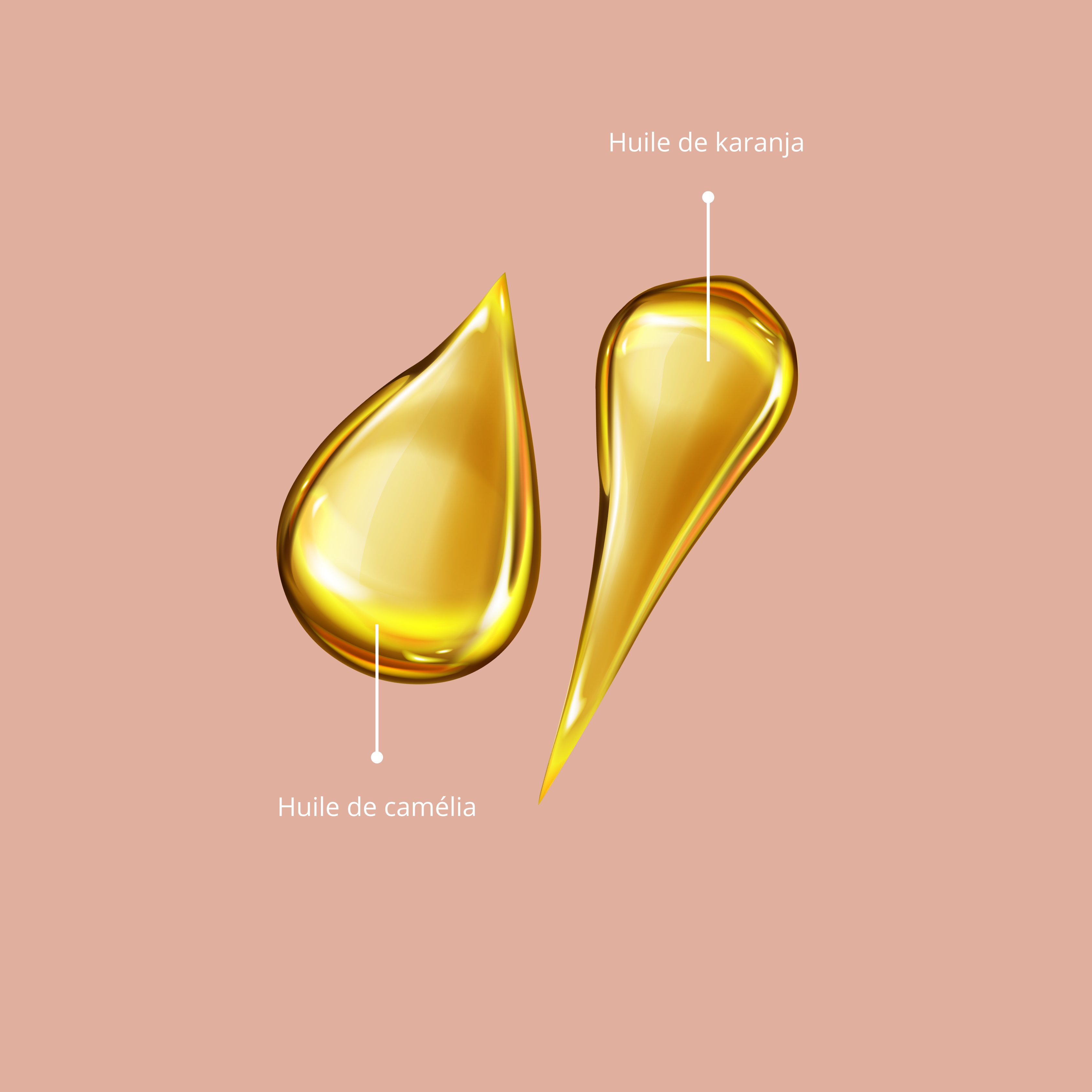 DUO COULEUR ICONIQUE COSMÉTIQUES