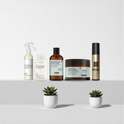 Routine de rentrée – Cheveux en PLS